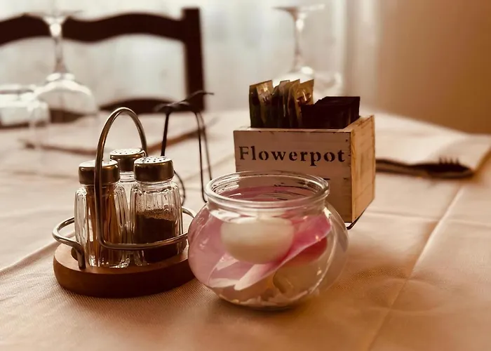 Banatium Cucina 2* 泰兹扎布伦塔